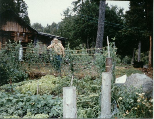 (image - Burrell's Garden, 1983)